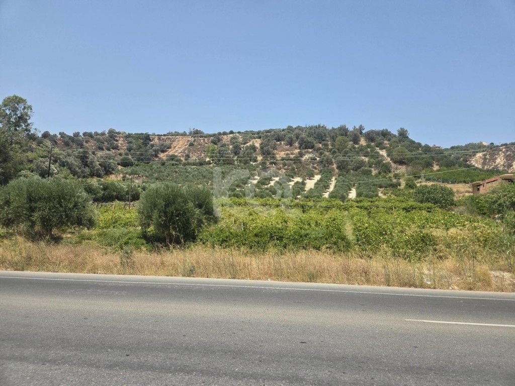 εικόνα αγγελίας