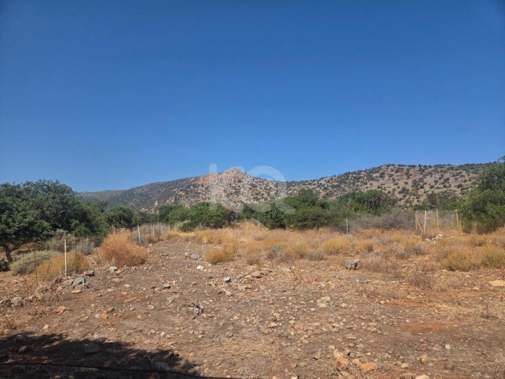 εικόνα αγγελίας