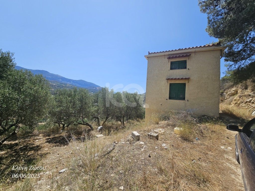 εικόνα αγγελίας