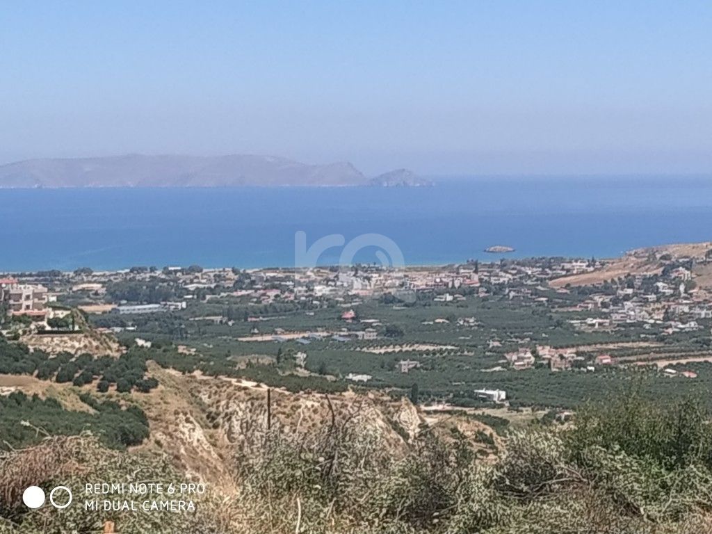 εικόνα αγγελίας