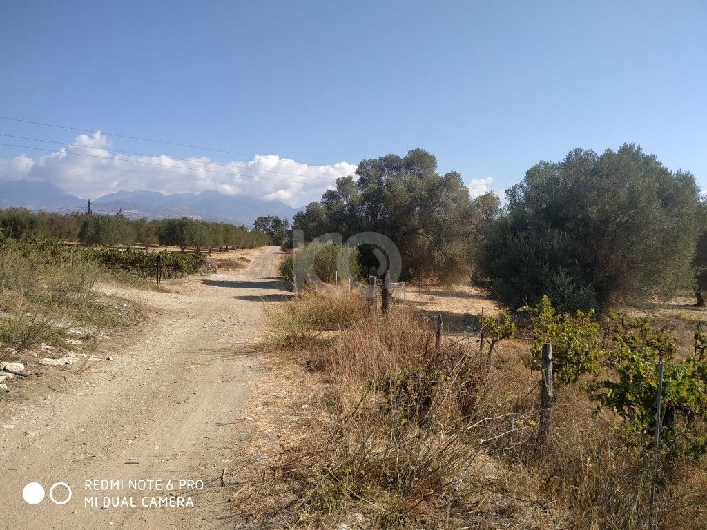 εικόνα αγγελίας