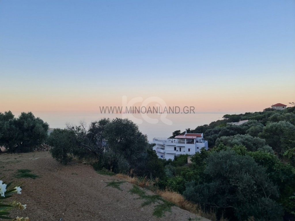 εικόνα αγγελίας