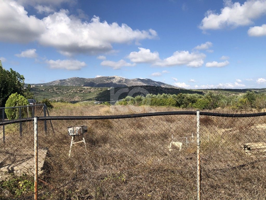 εικόνα αγγελίας