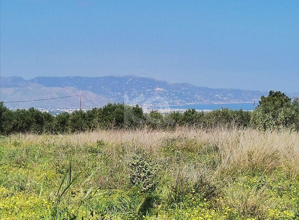 εικόνα αγγελίας