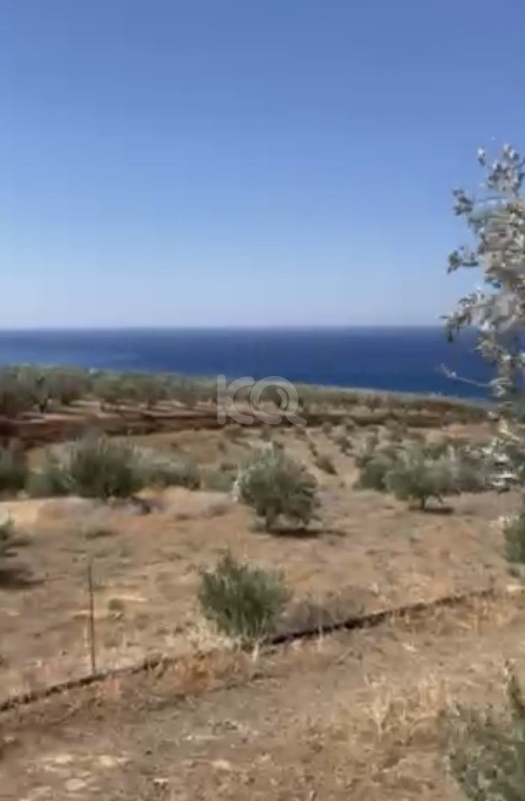εικόνα αγγελίας