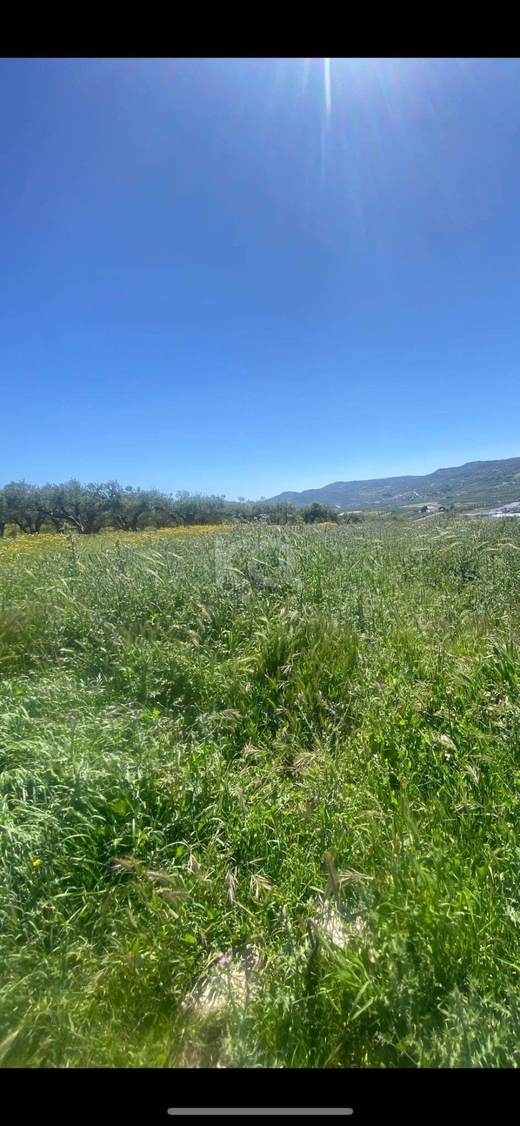 εικόνα αγγελίας