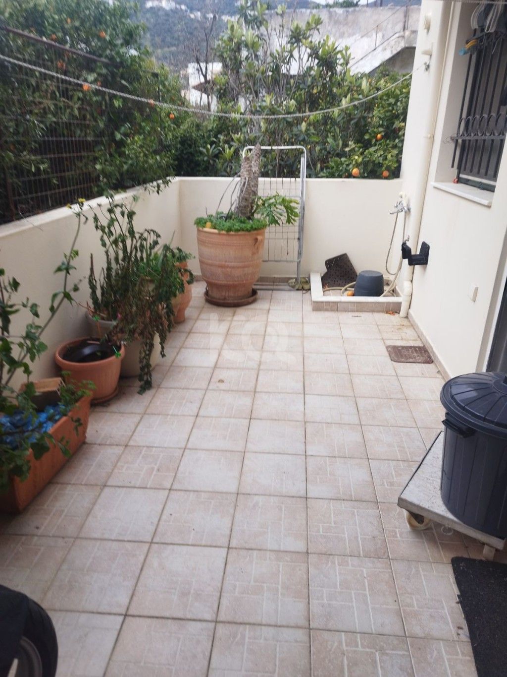 εικόνα αγγελίας