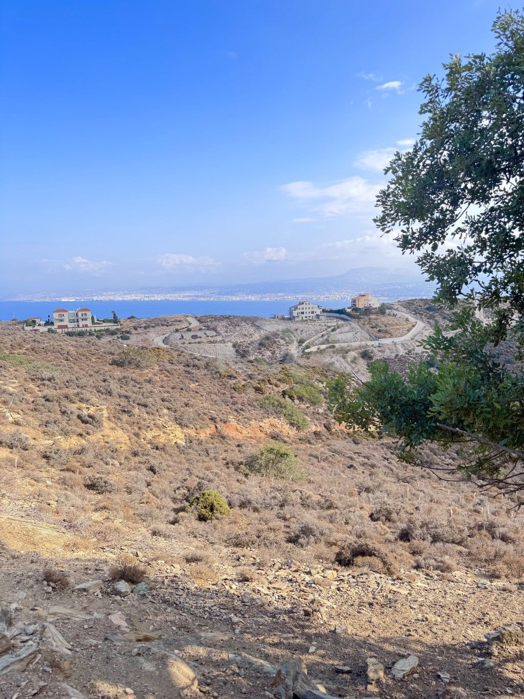 εικόνα αγγελίας