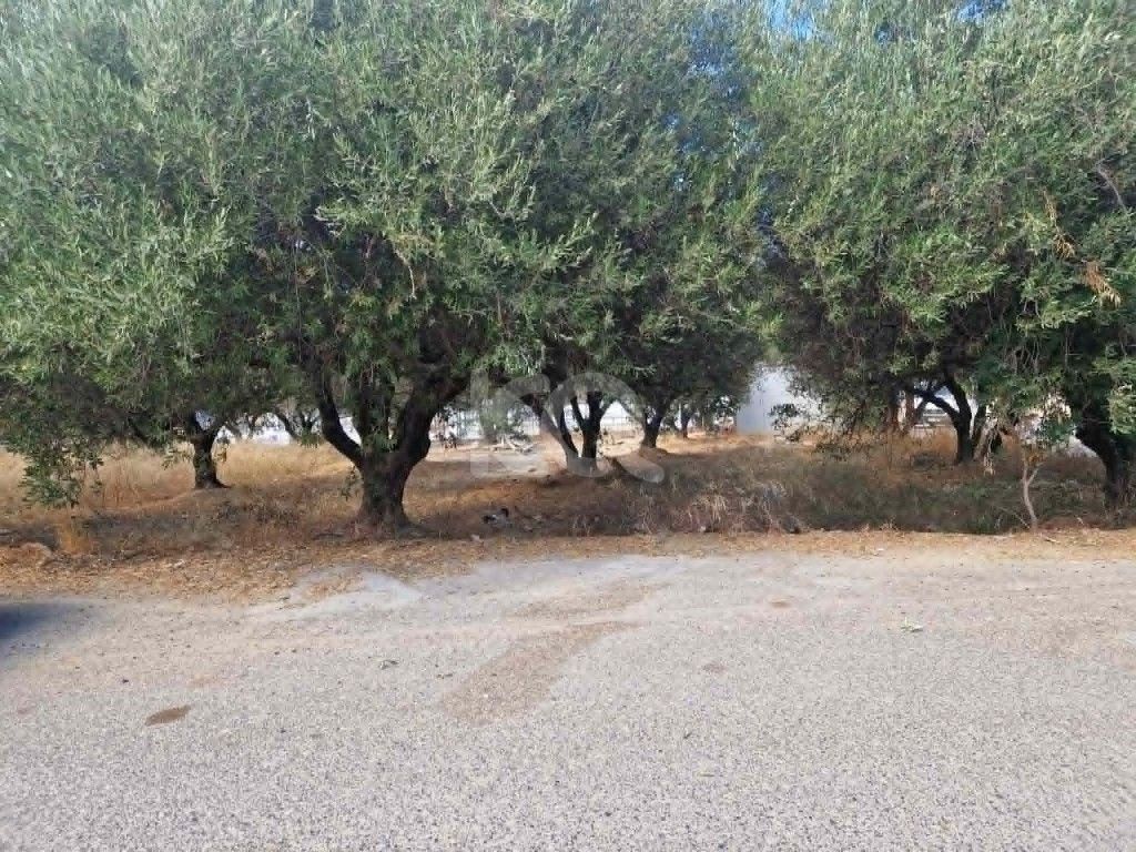 εικόνα αγγελίας