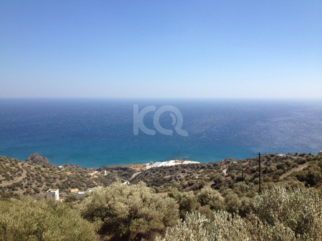 εικόνα αγγελίας