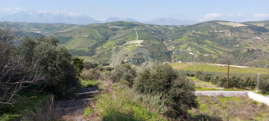 εικόνα αγγελίας
