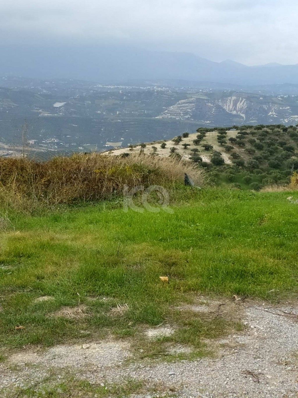 εικόνα αγγελίας