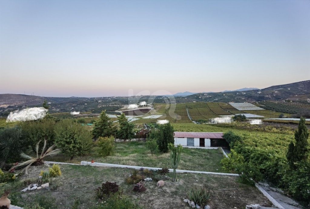 εικόνα αγγελίας