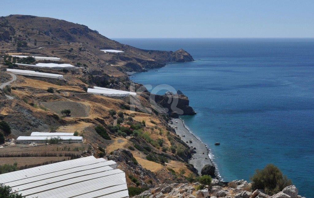 εικόνα αγγελίας