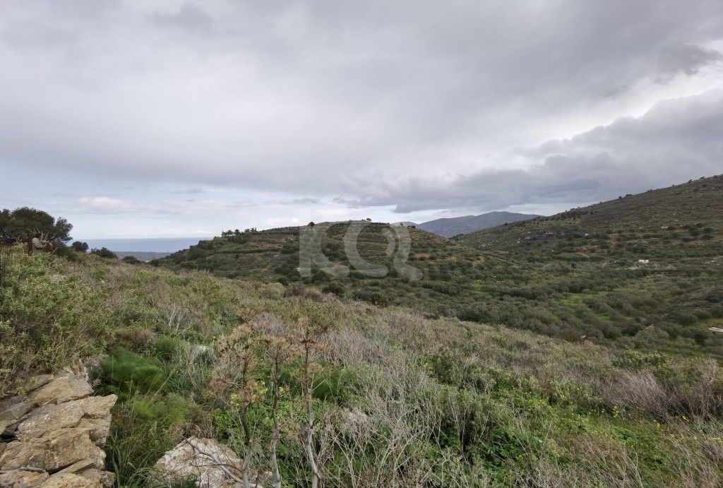 εικόνα αγγελίας