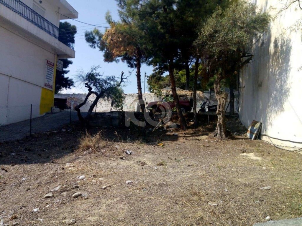 εικόνα αγγελίας