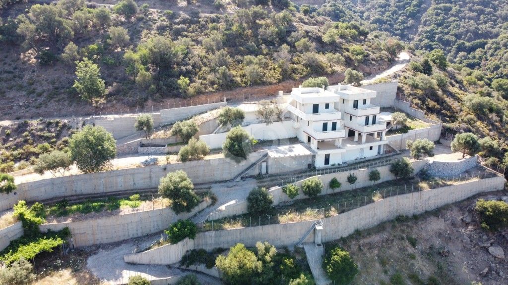 εικόνα αγγελίας