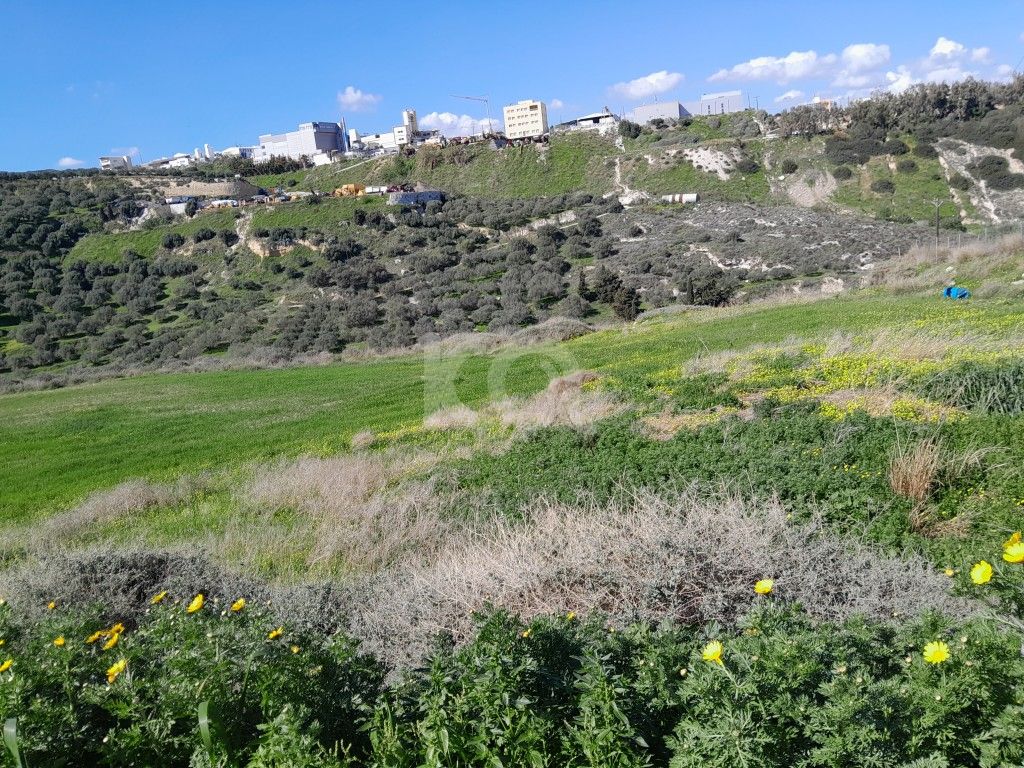 εικόνα αγγελίας