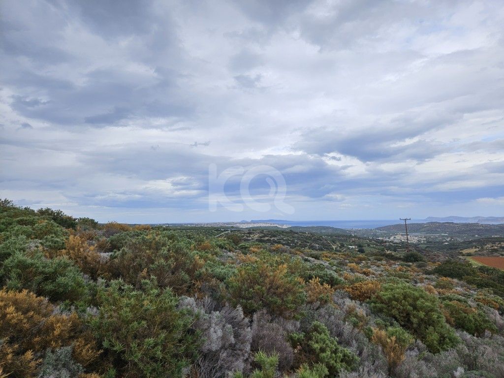 εικόνα αγγελίας