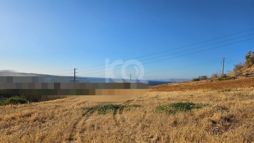 εικόνα αγγελίας