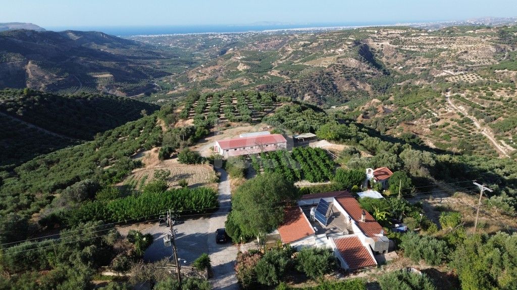 εικόνα αγγελίας
