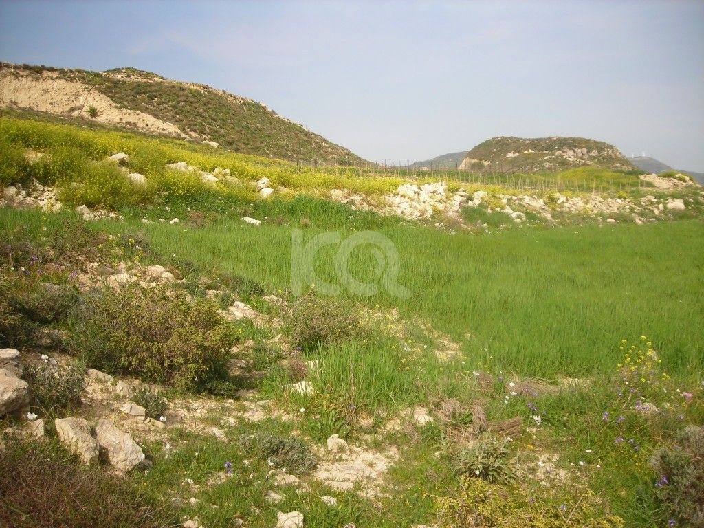 εικόνα αγγελίας