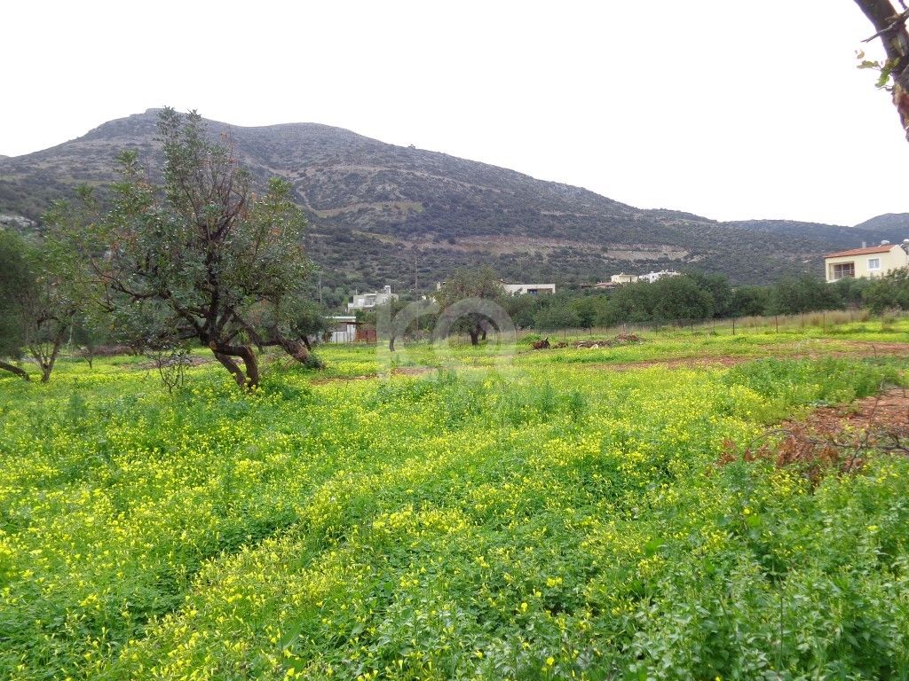 εικόνα αγγελίας