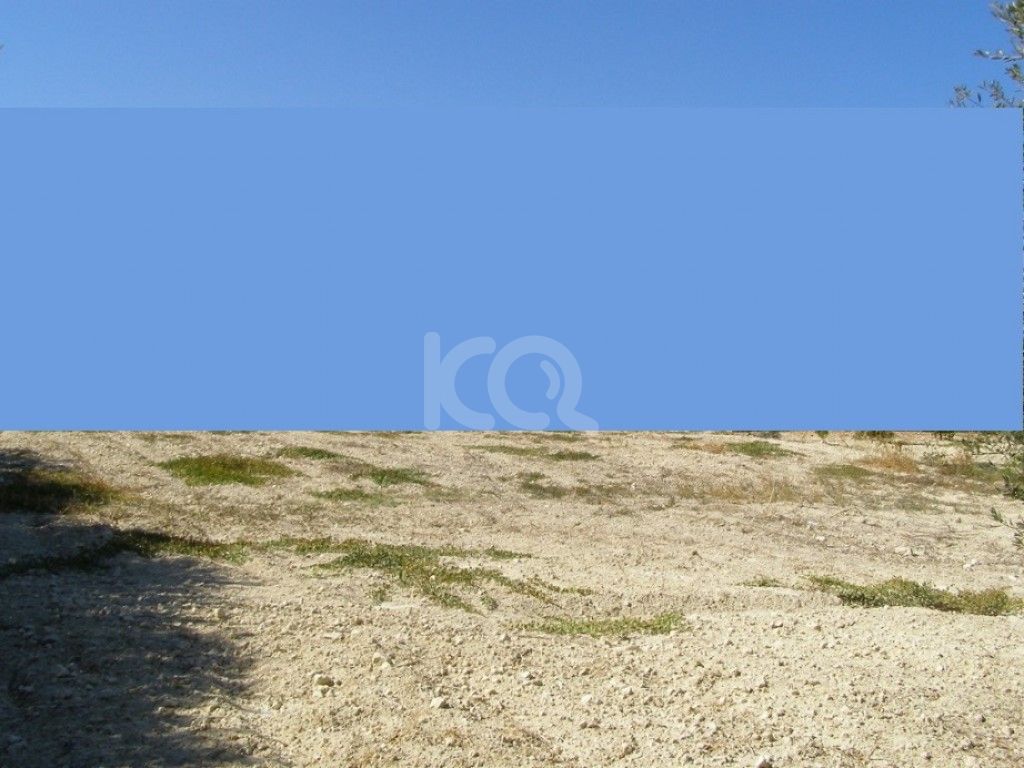 εικόνα αγγελίας