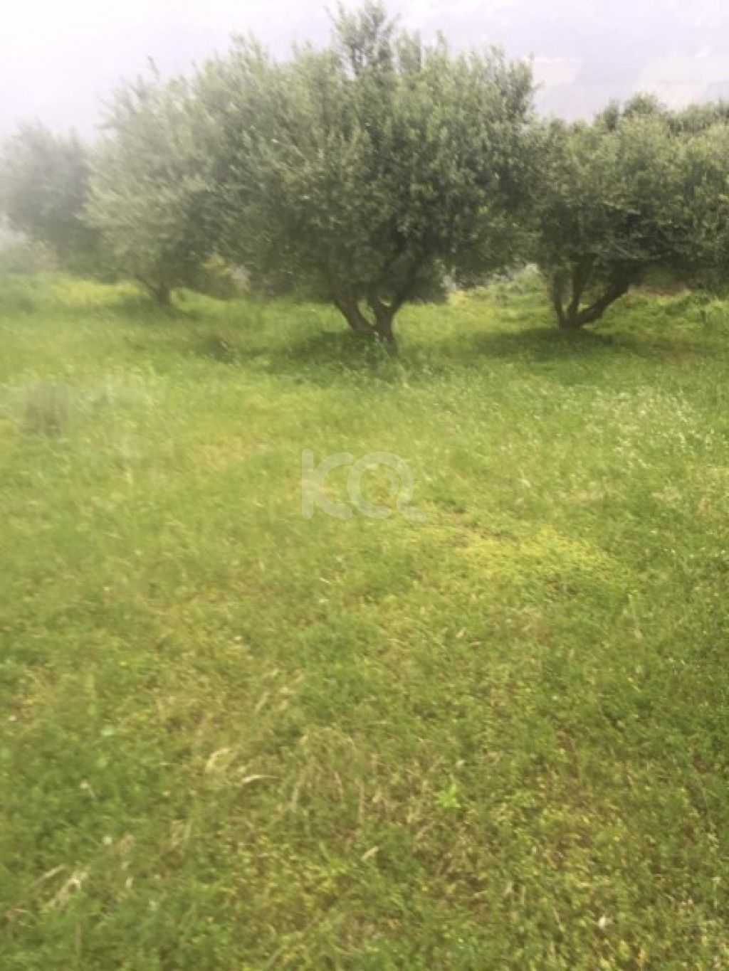 εικόνα αγγελίας