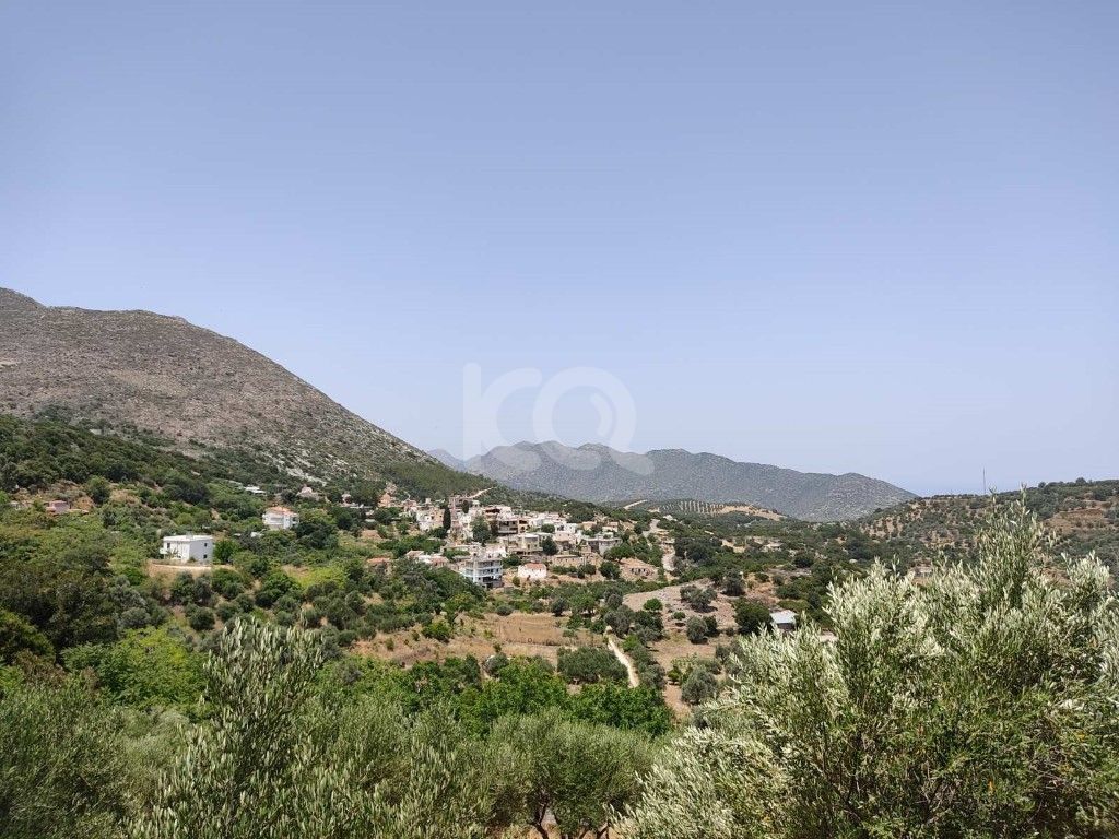 εικόνα αγγελίας