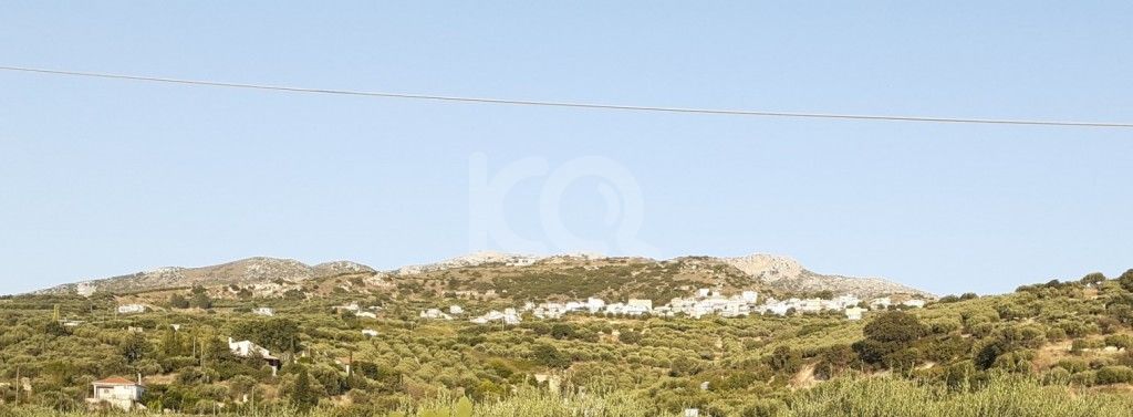 εικόνα αγγελίας