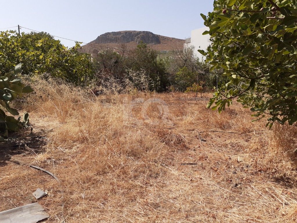 εικόνα αγγελίας