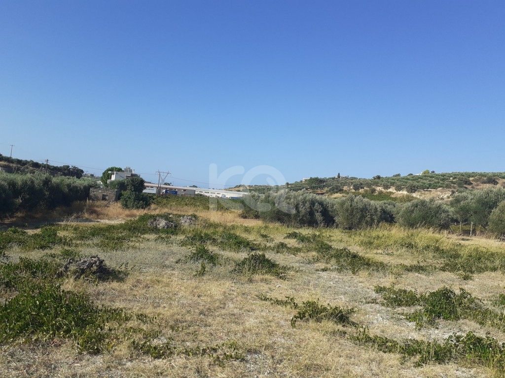 εικόνα αγγελίας