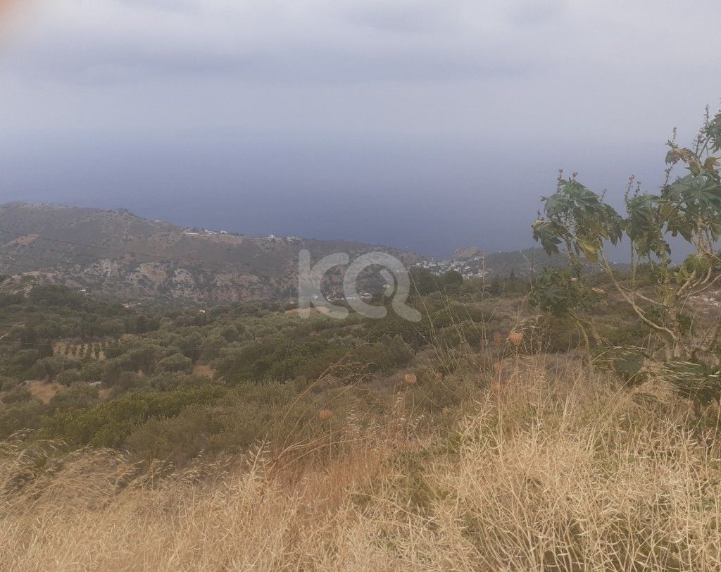 εικόνα αγγελίας