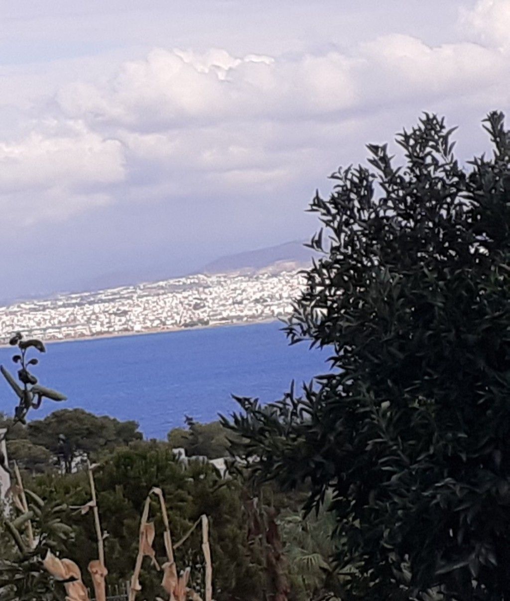 εικόνα αγγελίας