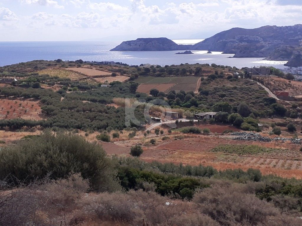 εικόνα αγγελίας