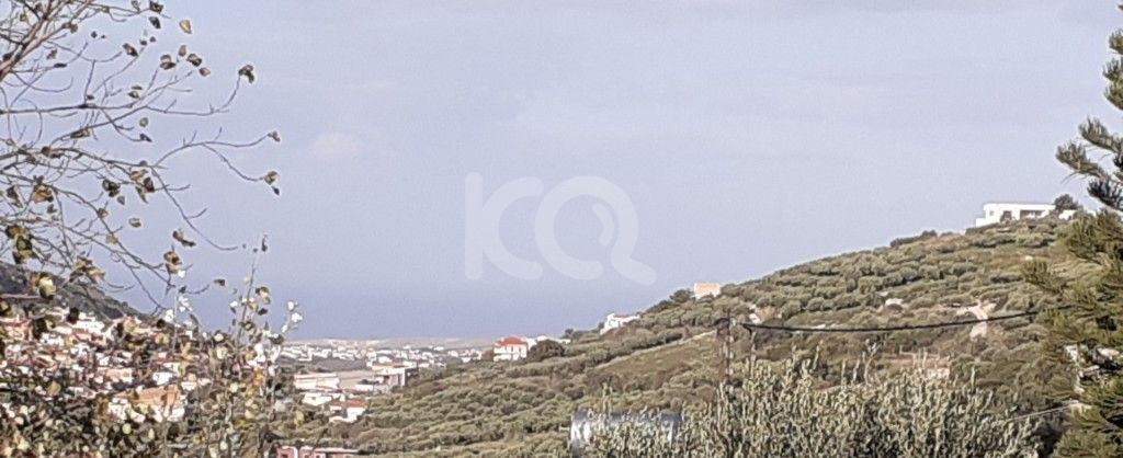 εικόνα αγγελίας