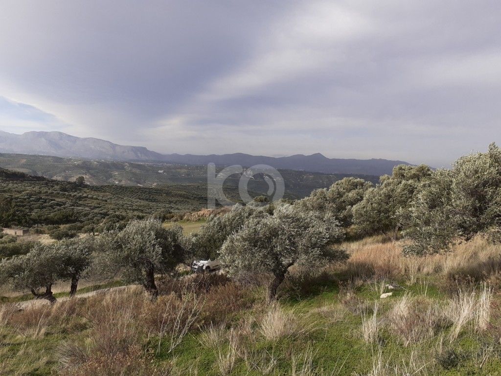 εικόνα αγγελίας