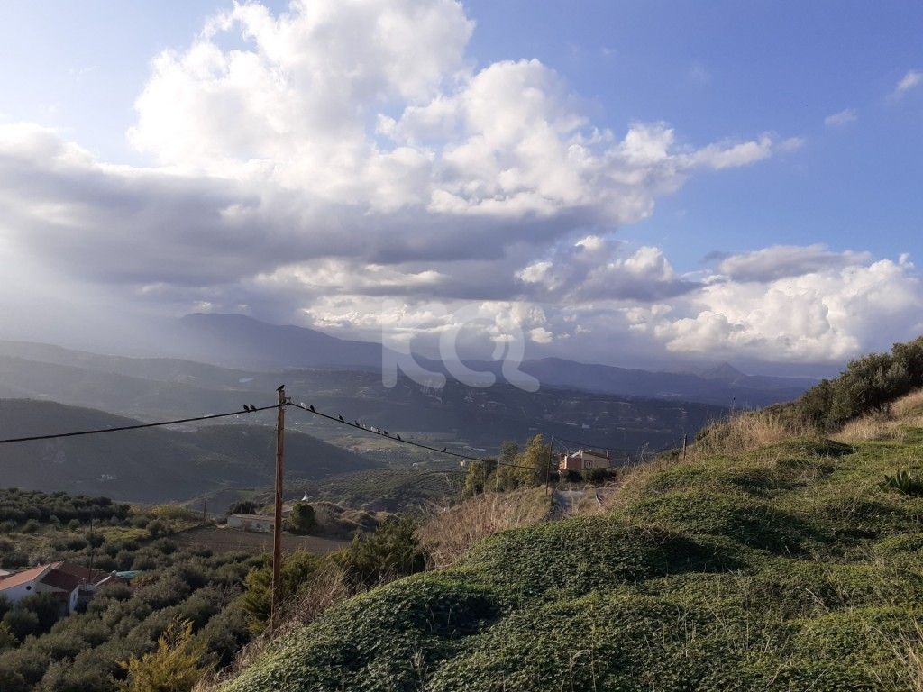 εικόνα αγγελίας