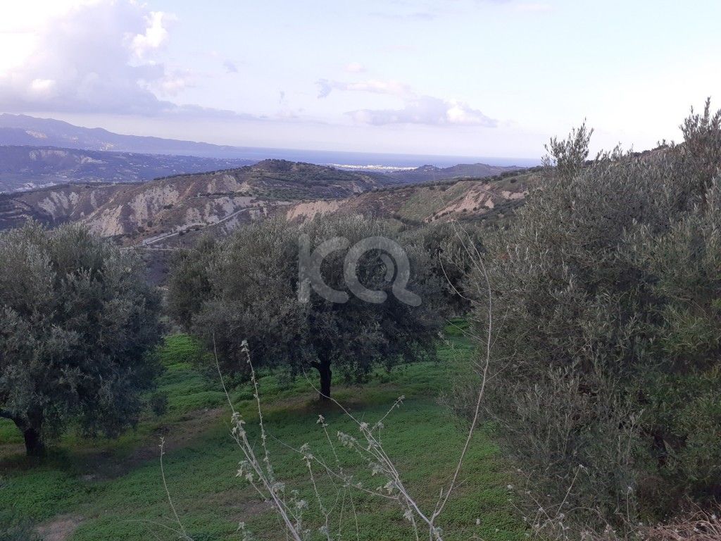 εικόνα αγγελίας