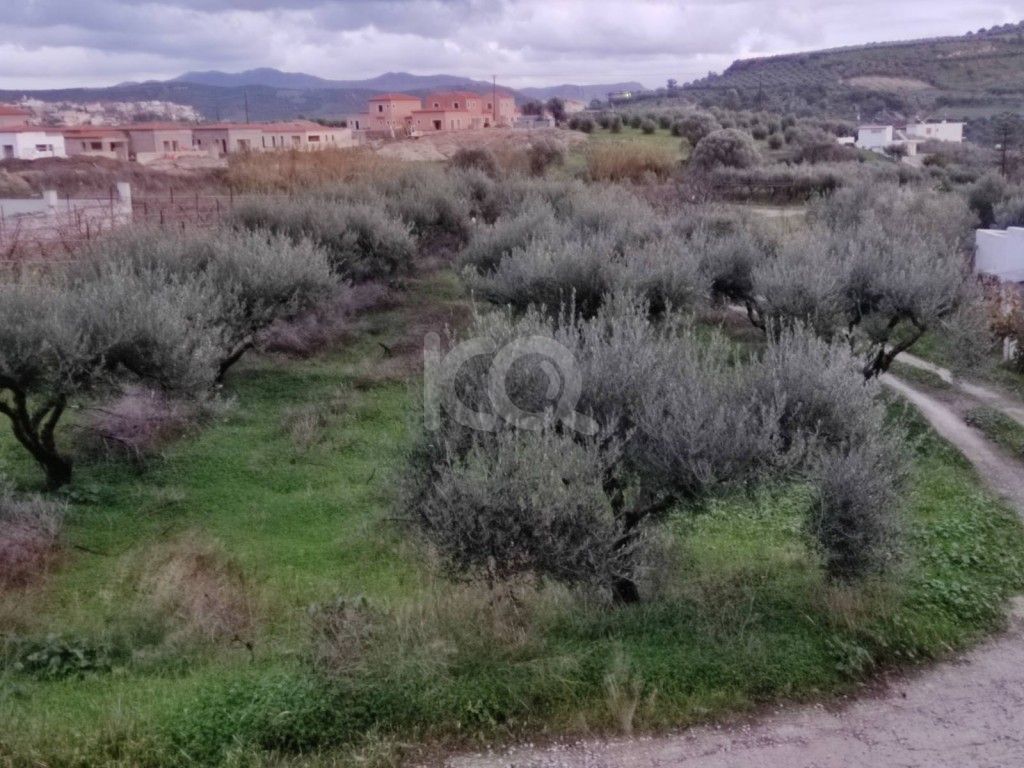 εικόνα αγγελίας