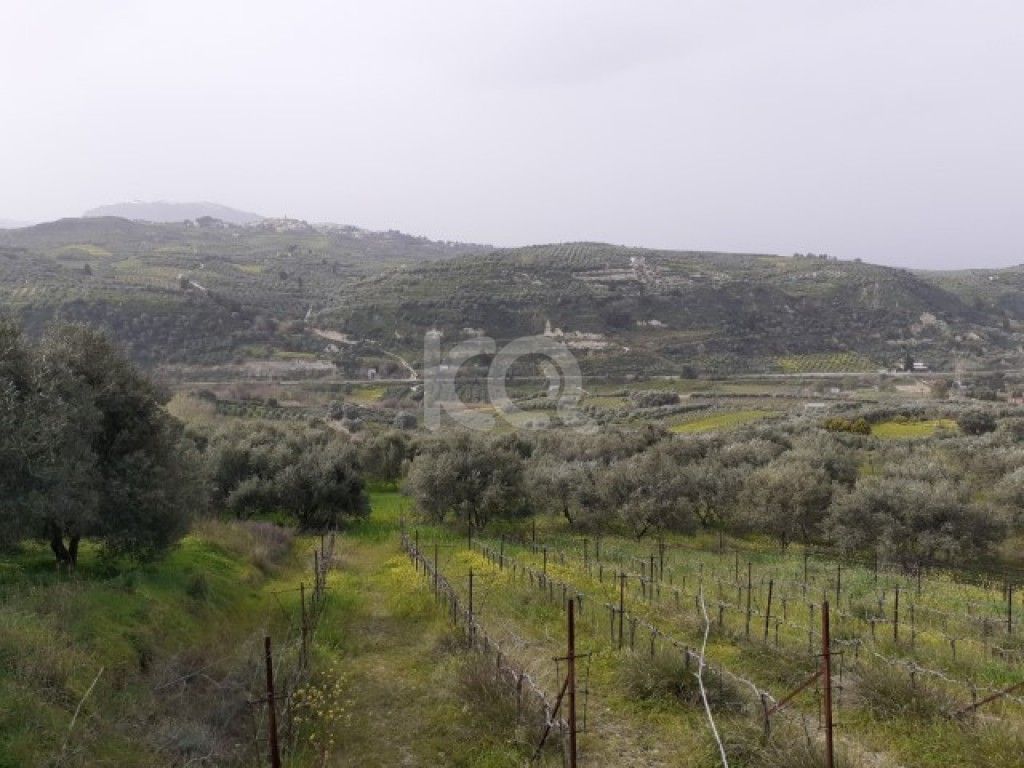 εικόνα αγγελίας