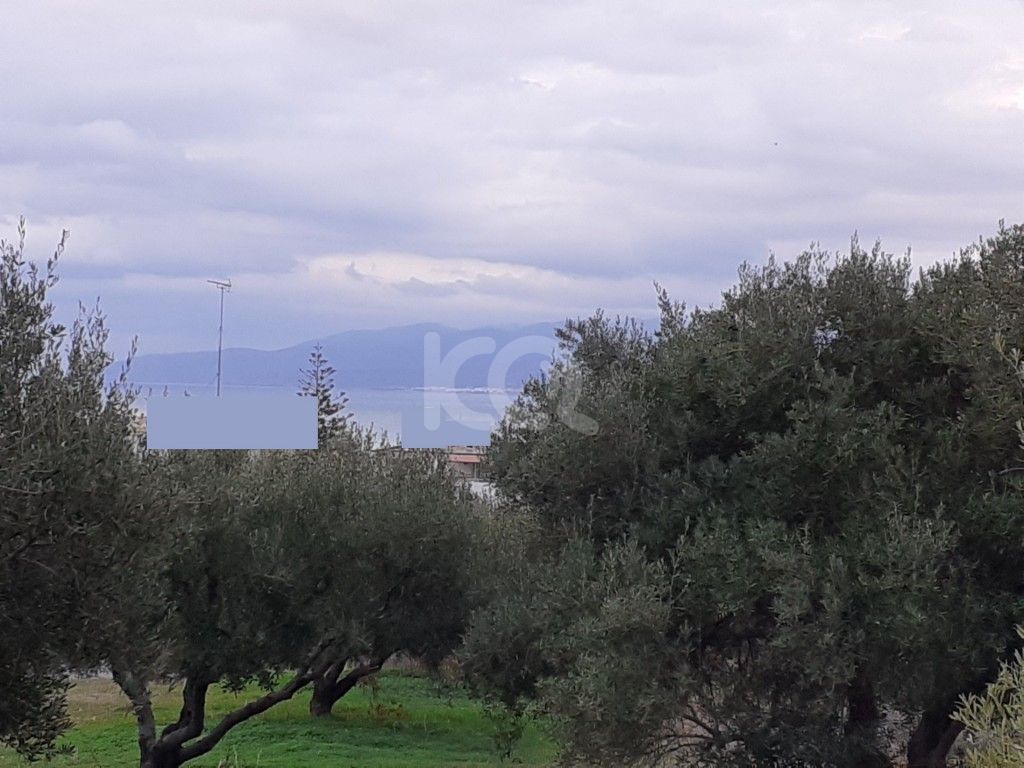 εικόνα αγγελίας