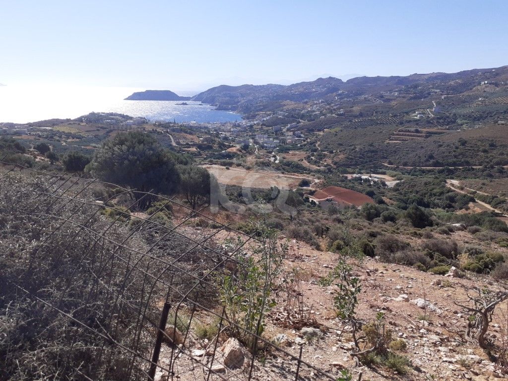 εικόνα αγγελίας