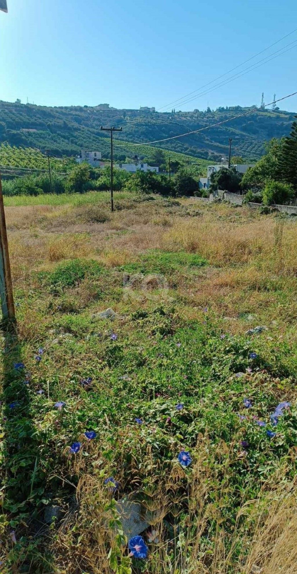 εικόνα αγγελίας