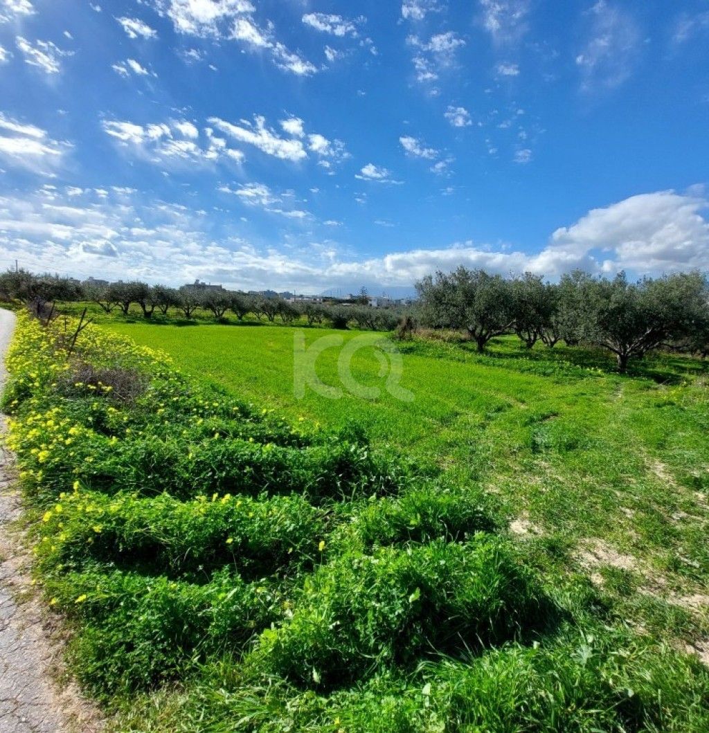 εικόνα αγγελίας