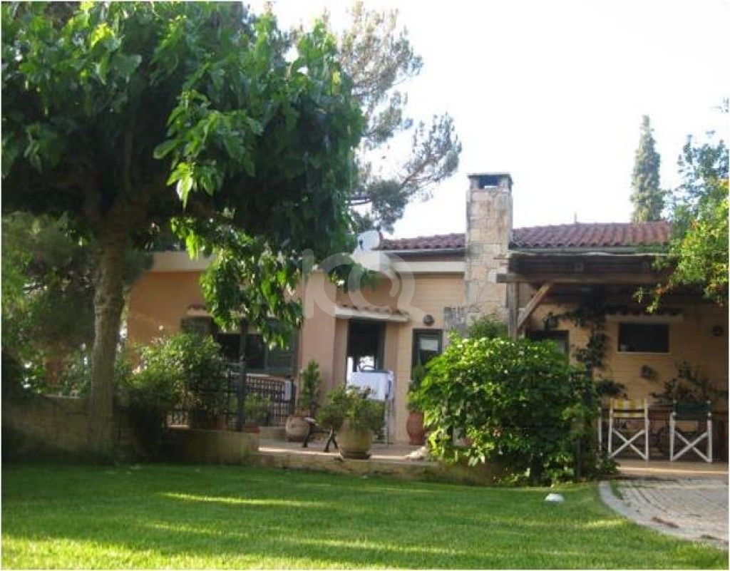 εικόνα αγγελίας