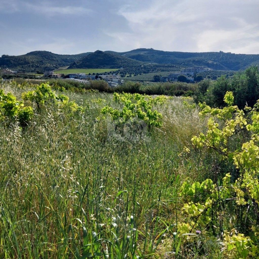 εικόνα αγγελίας