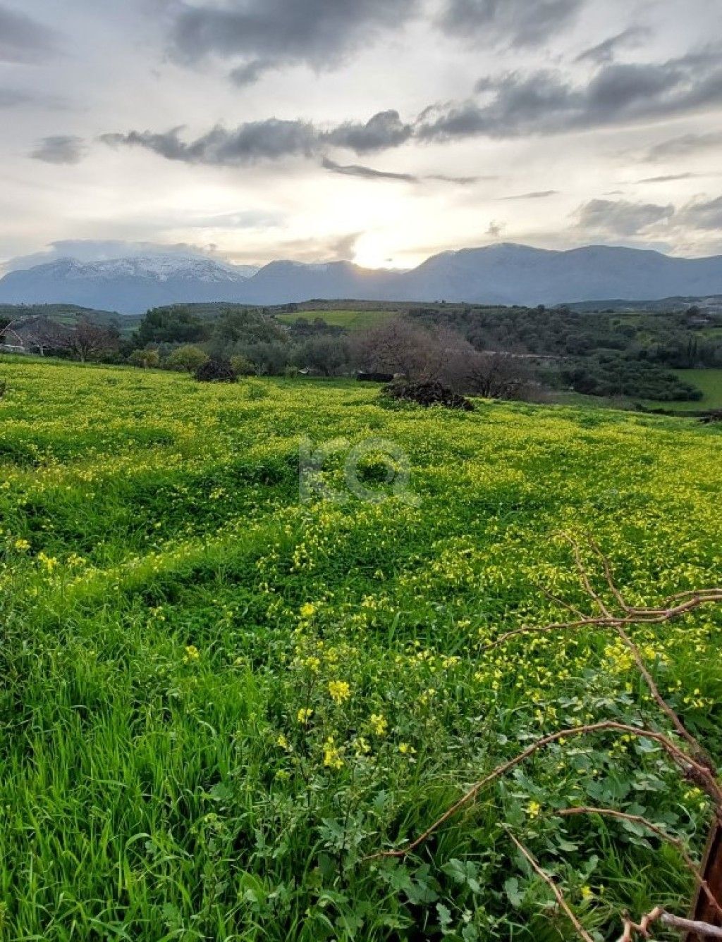 εικόνα αγγελίας