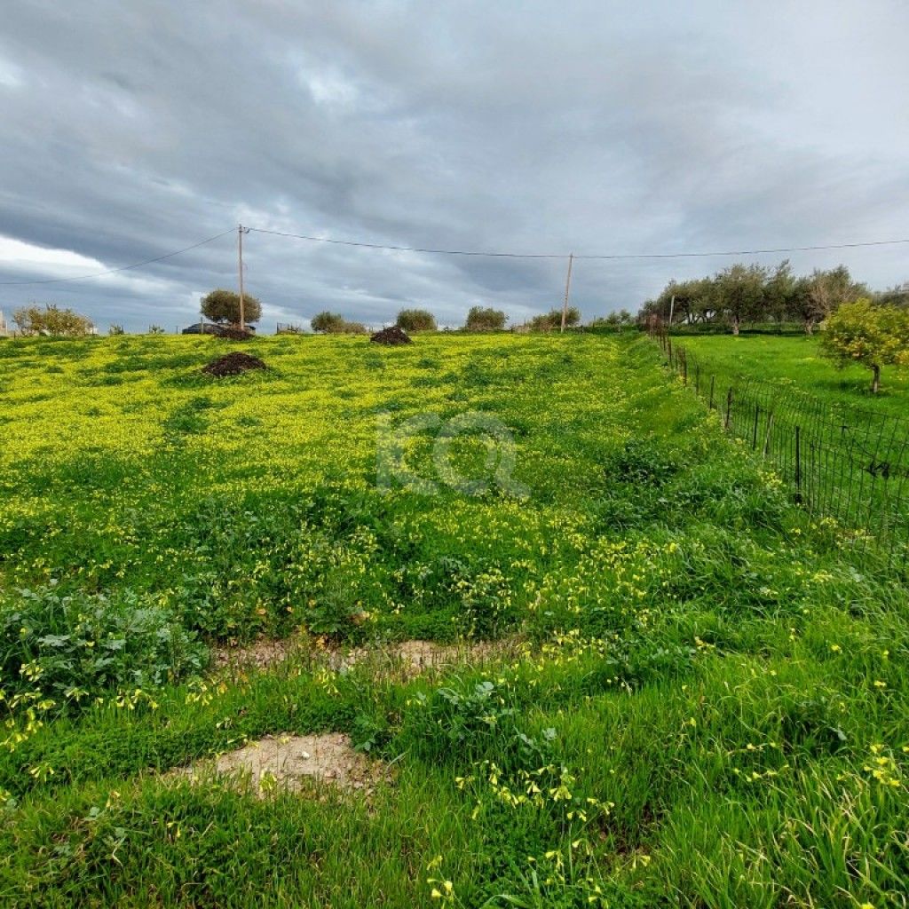 εικόνα αγγελίας